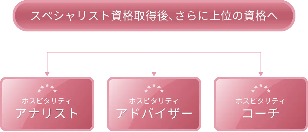 スペシャリスト資格取得後、さらに上位の資格へ